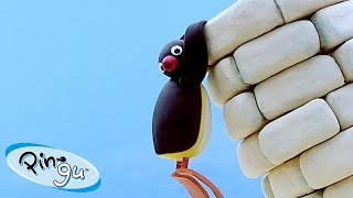 Pingu Builds a Tower 🐧 | Pingu - Official Channel | Cartoons For Kids