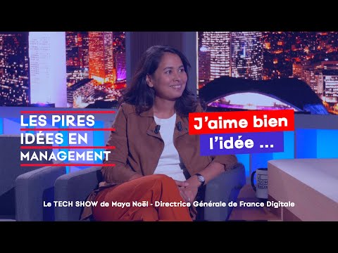L'ITW NOS PIRES IDEES | TECH SHOW 17 Maya Noël, DG de France Digitale
