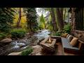 Spring Riverside Porch Campfire Nature Sounds For Deep Sleep Relaxation