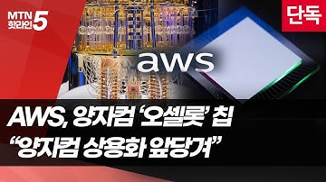 [단독 인터뷰]AWS 오셀롯 개발 책임자 "오류수정으로 양자컴 상용화 시간 앞당겼다" / 머니투데이방송 (뉴스)