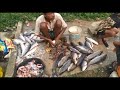 Indian village fish cutting style ii fish cutting at markona fish market