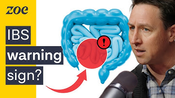 The Gut Doctor: The root cause of IBS – and how to treat it | Dr. Will Bulsiewicz
