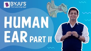 Human Ear - Part II | Class 4 I Learn with BYJU
