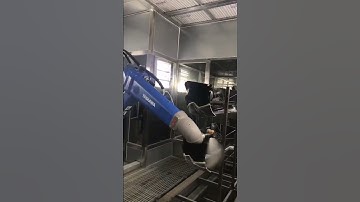 Robotic Automatic Paint Shop for Car Bumpers #robot #bumper #car #paintshop