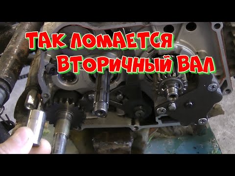 Зид Пилот сломался.Кпп Двигателя Zongshen 190 от питбайка kayo