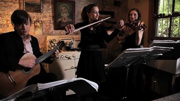 Fields of Gold - Sting - Stringspace Violin Duo & Guitar