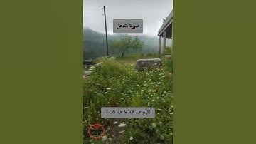 الشيخ عبد الباسط عبد الصمد يتلو من سورة النحل