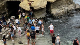 San Diego LIVE Exploring Wednesday Afternoon | La Jolla Cove w/ @Jaycation  (July 26, 2023)