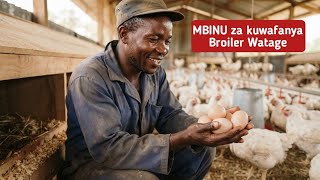 Jinsi ya Kuwafanya Broiler Watage Mayai na Kutotolesha Vifaranga!