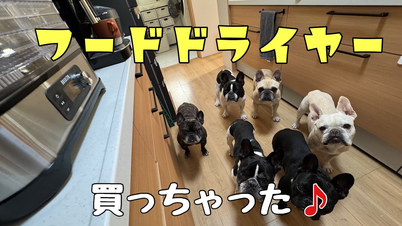 【Belllife】フードドライヤーでみんなの無添加おやつ作っちゃおう！