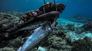 PELAGIC HUNTING! || THEY&#39;RE BACK ON THE SHALLOWS! ||SPEARFISHING PHILIPPINES!