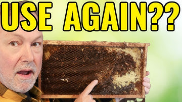 Beekeeping | How To Determine If You Can Reuse Old Frames