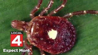 Celebrity Upcoming tick season could be worse than last year -- here’s how to protect yourself Profile