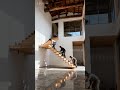 Deserted Japanese machiya townhouse in Kyoto #viral #home #architecture #interiordesign
