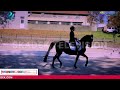 Horse Ride Competition at Hamilton Farm - The Official U.S. Olympic Committee Training Site | Skadek