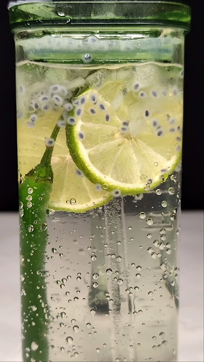 Shikanji Kulukki Sarbath 🤤🔥