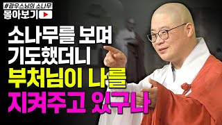 열심히 기도했던 에너지로 부처님이 나를 지켜주고 계셨구나 [초심으로 돌아가는 광우스님의 소나무 시즌3 몰아보기]