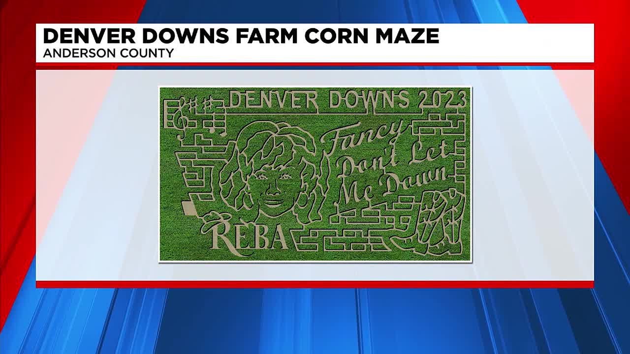 Denver Downs Farm Wins USA TODAY Award YouTube denver-downs-farm-wins-usa-today-award-youtube