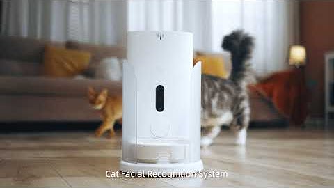 CATLINK Facelink Automatic Cat Feeder with Multi-Cat Detection @CatlinkEU