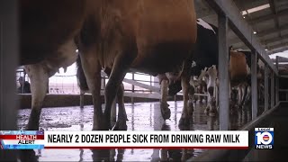 Nearly 2 dozen people in Florida fall ill from tainted raw milk