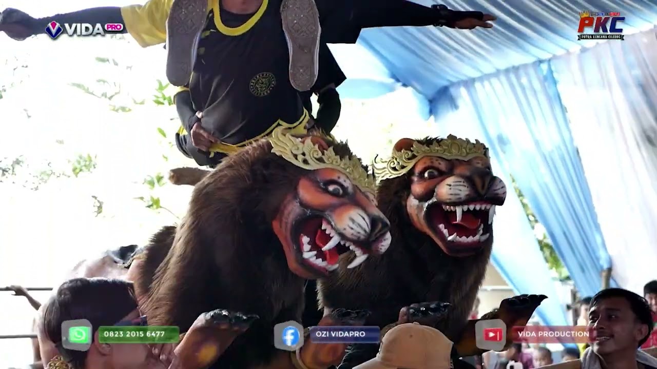 demi ayang aktraksi singa depok // susukan agung burok pkc 25 april 2023 @PKCOFFICIAL