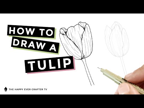 How to Draw a Tulip - Step-by-Step Instructions