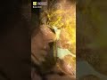 عزيزين علا روحي انتم عزيزين عزيزين علا روحي انتم عزيزين