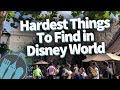 The Hardest Things To Find in Disney World!