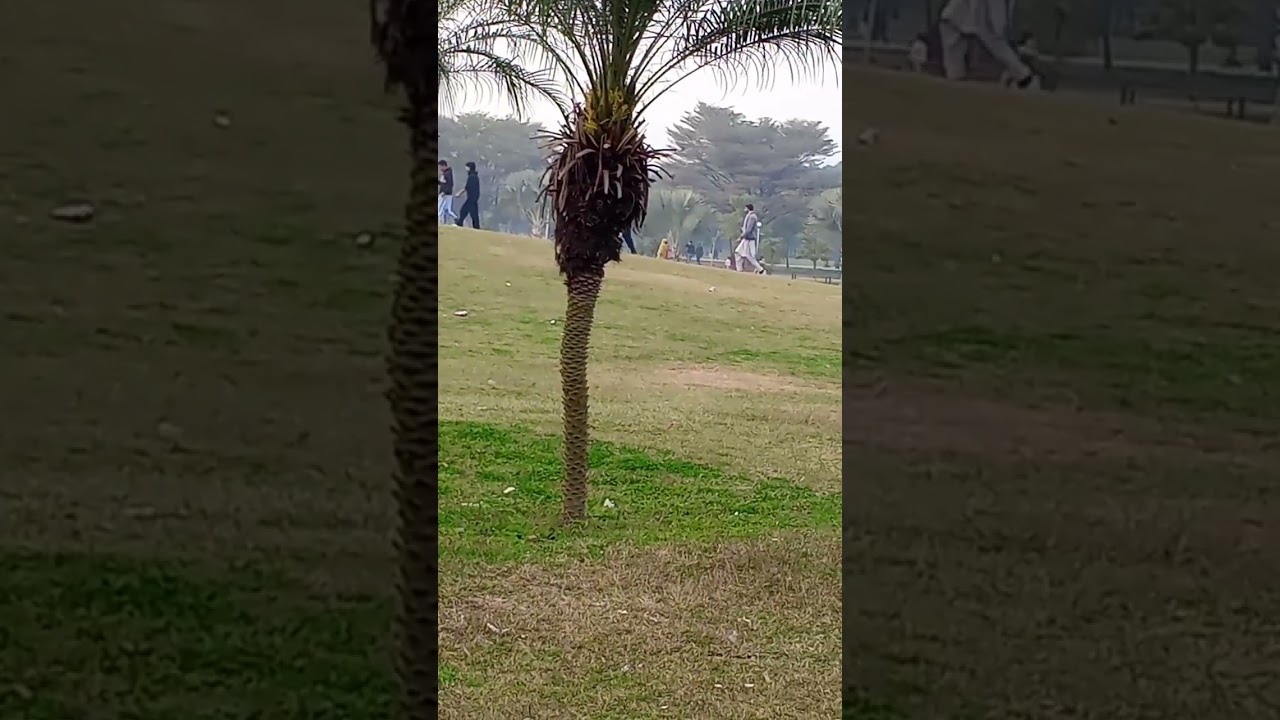 Try this sound 🎧\\ Beautiful view 