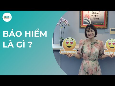 Video: Chinchilla chăn nuôi như một doanh nghiệp: trồng, giữ, nhân giống tại nhà