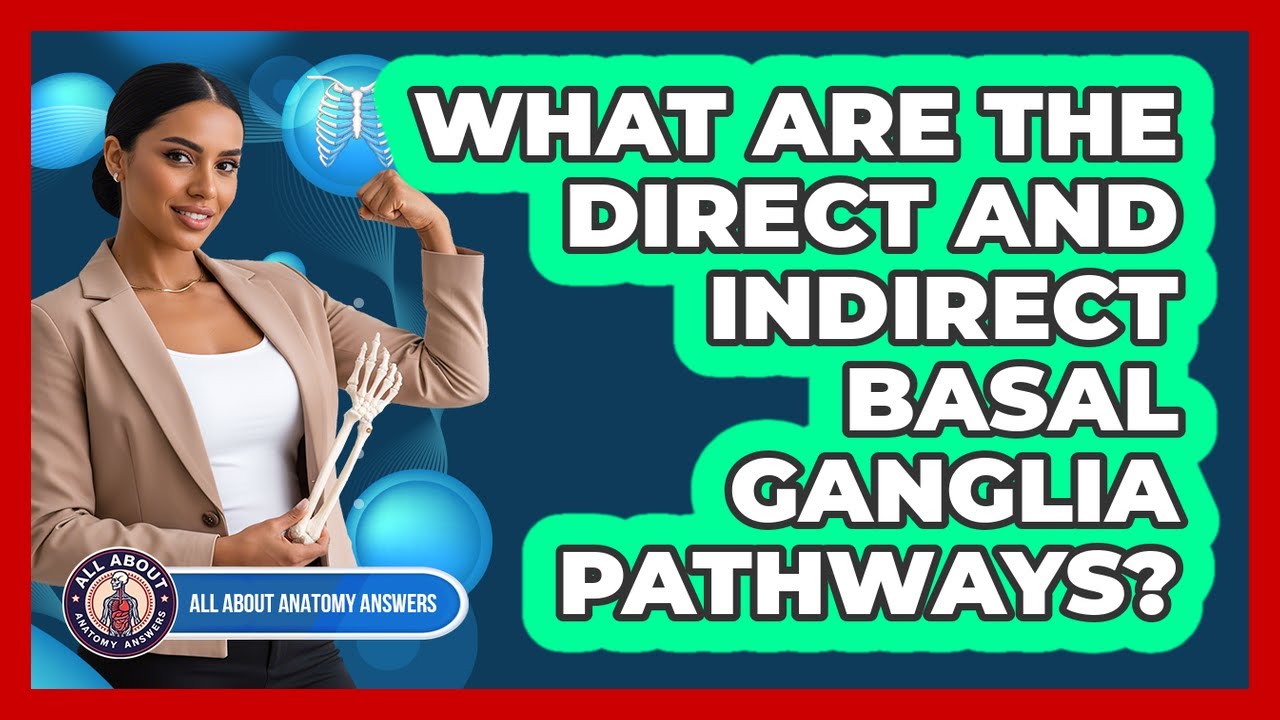 What Are The Direct And Indirect Basal Ganglia Pathways?