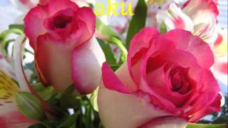 Download Lagu BILA KAMU MP3 Download Lagu BILA KAMU MP3