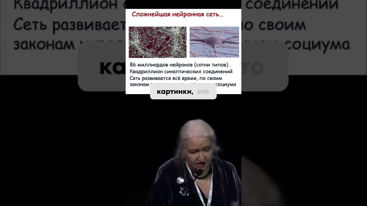 Человеческий мозг: сложнейший объект во Вселенной