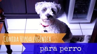 DIY Comida hipoalergénica para perro | Julieta Jareda