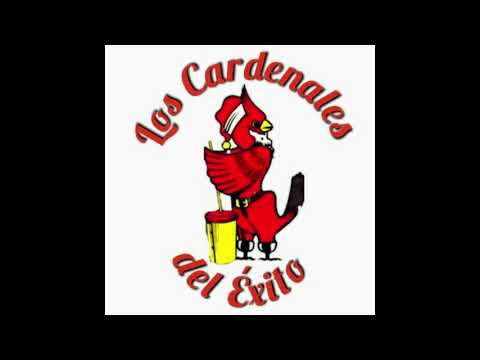 Los Cardenales del Exito - A Mi Me Gusta Que A Ti Te Guste @Gaitaszulianas-pc9zy