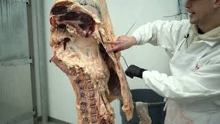 Full Breaking down a beef carcass at Milaca Meats Update