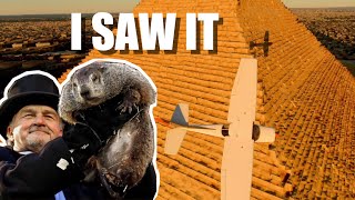 I'm the Punxsutawney Phil of Flight Simulator