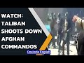 Video: Taliban members allegedly shoot down 22 Afghan commandos in Faryab | Watch | Oneindia News