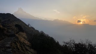 Hiking the Mardi Himal Trail in Nepal by Basa Pete 354 views 1 year ago 29 minutes