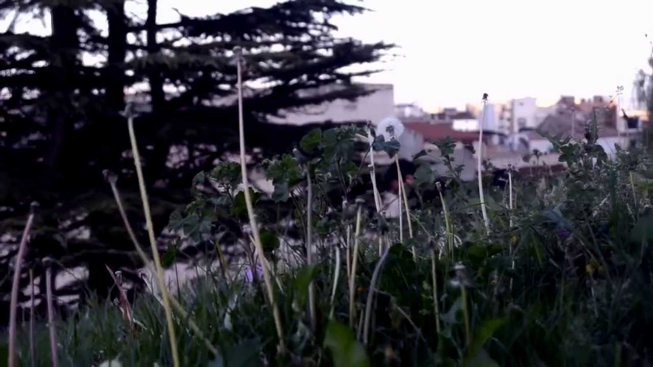 pablo hasél,,, perderme para encontrarme