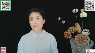 20200724 -1【特朗普之作：美元美债的泡沫】【寒梅视角】