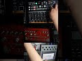 Acid Techno DAWless #acidtechno #dawlessjam #acid #electronicmusic #techno #synthjam #synth #music