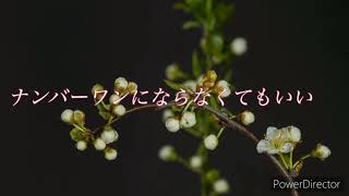 世界に一つだけの花　SMAP 歌詞付き