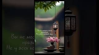 #цитаты #афоризмы #жизнь #мудрыеслова #мудрыемысли #shorts