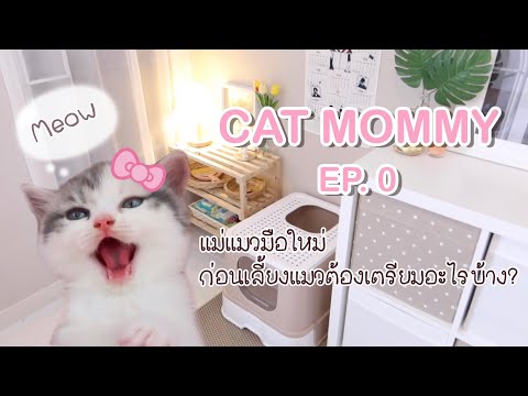 เลี้ยง แมว พันธุ์ ไหน ดี  Update 2022  🎀 CAT MOMMY EP.0 | เลี้ยงแมวต้องเตรียมอะไรบ้าง ซื้อแมวมาจากไหน แมวราคาเท่าไหร่, Roomtour ห้องแม่แมว