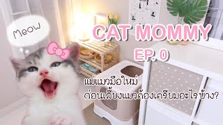 🎀 CAT MOMMY EP.0 | เลี้ยงแมวต้องเตรียมอะไรบ้าง ซื้อแมวมาจากไหน แมวราคาเท่าไหร่, Roomtour ห้องแม่แมว