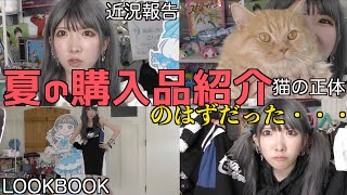 【報告】最近ガチで買った可愛すぎる服を紹介したかっただけなのに、気付いたら猫の紹介してたしインフルエンザになった動画【人生いろいろ】