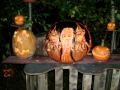 Pumpkin Carvings Spooktacular 2009  ! ! !