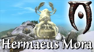 HERMAEUS MORA - Oblivion