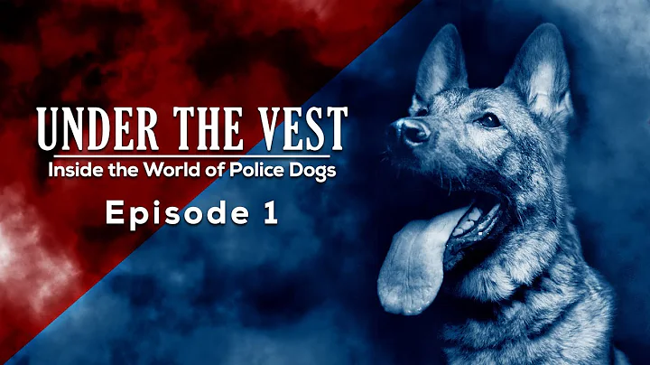 Episode 1 - Under The Vest: Inside the World of Po...
